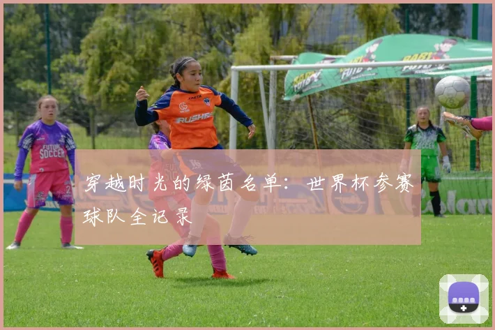 穿越时光的绿茵名单：世界杯参赛球队全记录