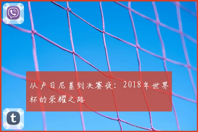 从卢日尼基到决赛夜：2018年世界杯的荣耀之路
