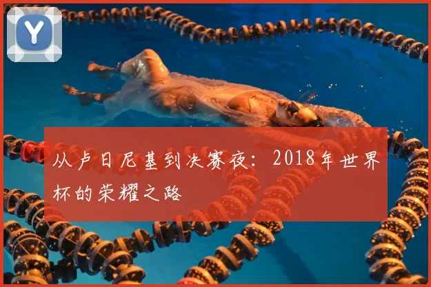 从卢日尼基到决赛夜：2018年世界杯的荣耀之路