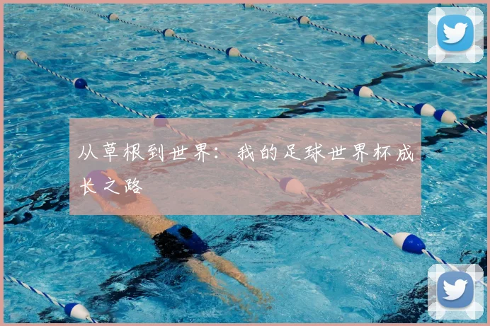 从草根到世界:我的足球世界杯成长之路