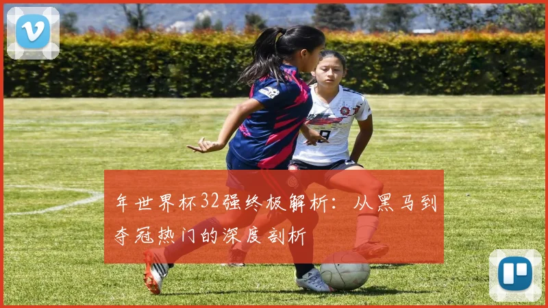 年世界杯32强终极解析：从黑马到夺冠热门的深度剖析