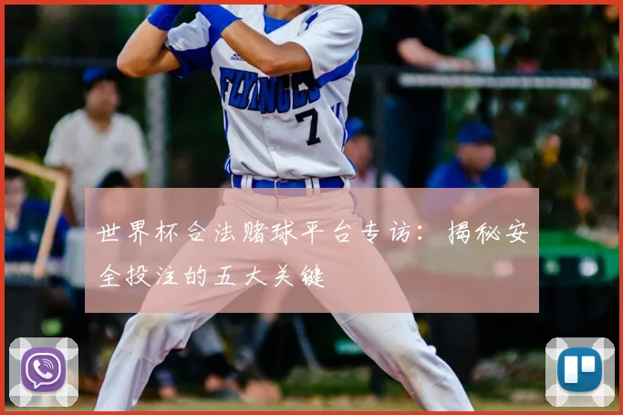 世界杯合法赌球平台专访：揭秘安全投注的五大关键