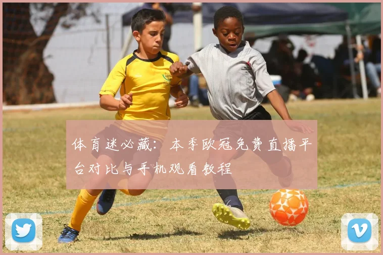 体育迷必藏：本季欧冠免费直播平台对比与手机观看教程