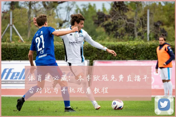 体育迷必藏：本季欧冠免费直播平台对比与手机观看教程